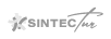 Sintectur tourism and hospitality company logo